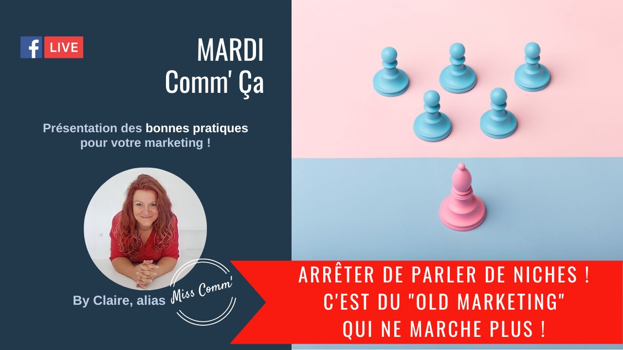 niche-marche-marketing-strategie-MissComm-Claire-Negrier-conscience-communication-ethique Evolution stratégie Marketing - Marketing de niche - Claire Négrier, misscomm - Lyon
